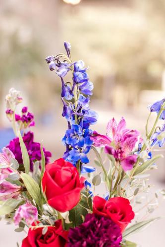 Kirsten & Andrew Winery