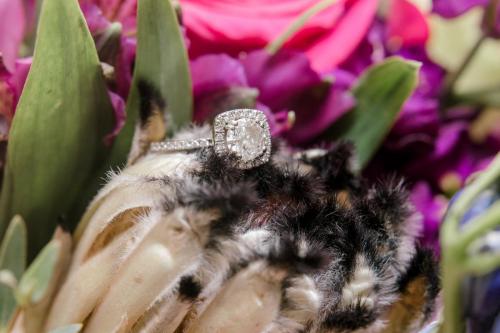 Kirsten & Andrew Winery