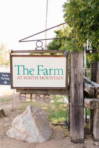 2019-Alex+Amber-Wedding-54