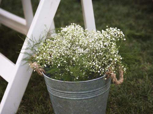 SCHULTZ2017 09 01590