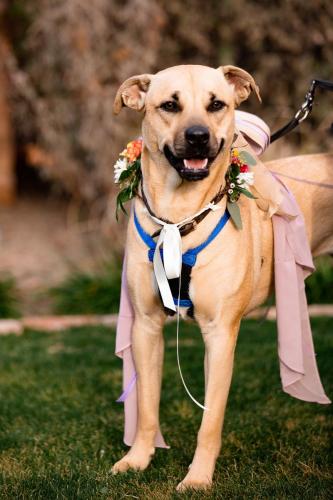 Shelby and Greg f-466