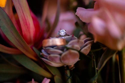 Shelby and Greg sp-17