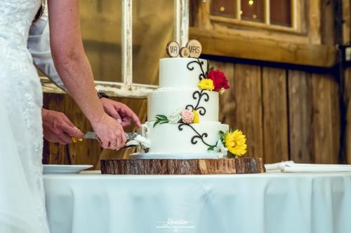 kelsey and brent 2019 0901 204442-5914 tavits photography